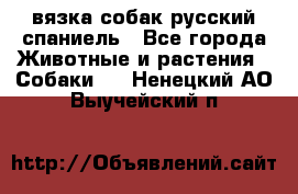 вязка собак русский спаниель - Все города Животные и растения » Собаки   . Ненецкий АО,Выучейский п.